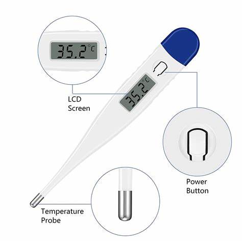 Clinical Digital Thermometer