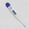 Clinical Digital Thermometer