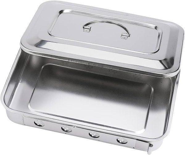 51UdpMfK3S._AC_UF10001000_QL80_ Stainless Steel Instrument Trays