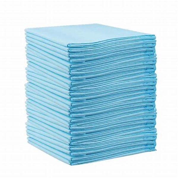 OIP (1) Disposable Pad/Underpad 60'' x 90cm at JOMEX MEDICA SUPPLIES