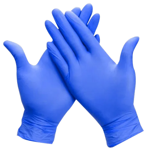 R Nitrile Disposable Powder Free Gloves (100 pcs
