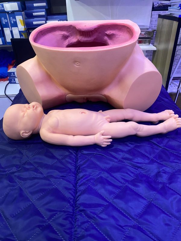 b6ccc821-7ce8-4cc2-9775-58b6601142a0 Childbirth Simulator Manikin, Advanced Midwifery Training Model for Nursing Medical Teaching