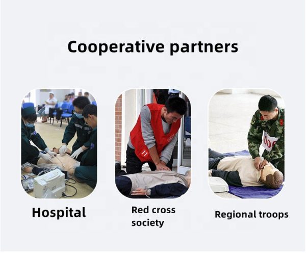 Adult CPR Half Body Training Kit Life Size Manikin Educational