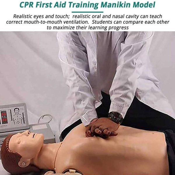 Adult CPR Half Body Training Kit Life Size Manikin Educational